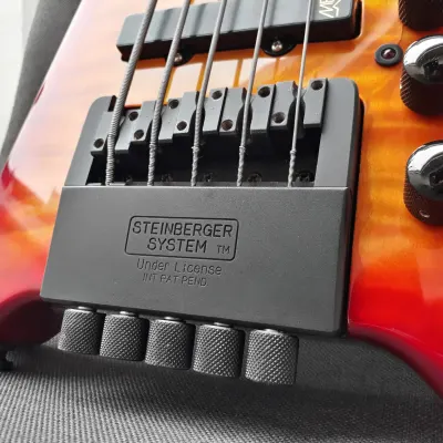 Hohner Professional B2AV licd. by Steinberger | 2003