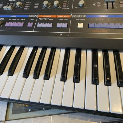 Roland Jupiter 6 61-Key Synthesizer 1983 - 1985 - Black image 4