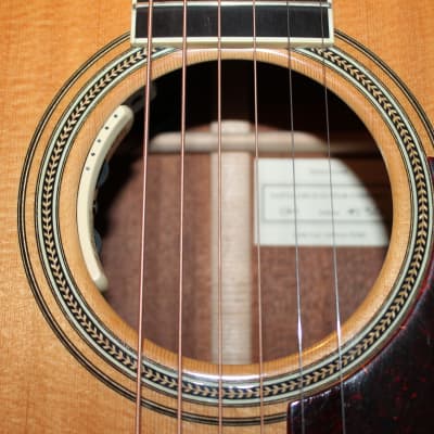 Santa Cruz OM Mahogany/Spruce with LR Baggs Anthem image 11