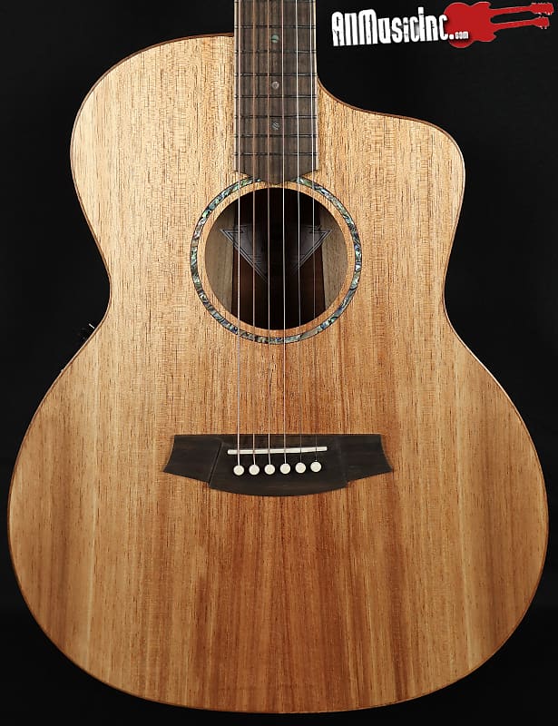 Cole Clark SAN1EC-BLBL Blackwood Acoustic Electric Guitar w/ Gig Bag image 1