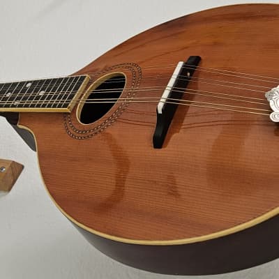 1913 The Gibson A-1 Mandolin Pumpkin Top Vintage Natural Acoustic Guitar image 6