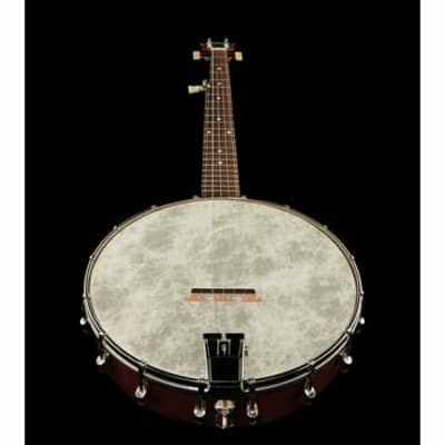 Recording King RKOH-05 | Dirty 30s Open Back Banjo. Brand New! image 13