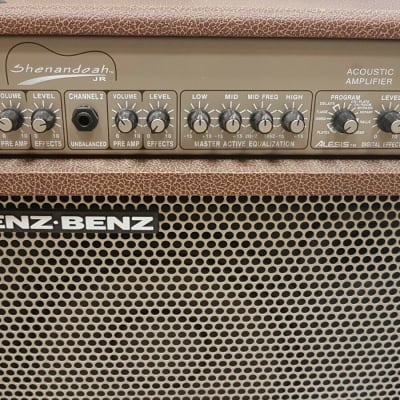 Genz Benz Shenandoah Jr 35 Watt Acoustic Amplifier image 2