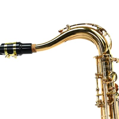 Elkhardt Tenorsax Super Deluxe image 4