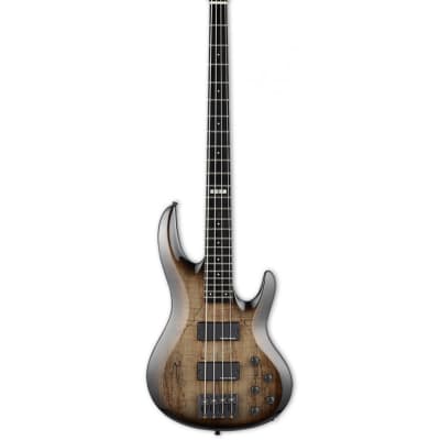 ESP RF-00SL#1 REITA - the GazettE | Reverb ESP RF-00SL#1 REITA - the GazettE | Reverb