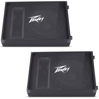 Peavey pv15m hot sale