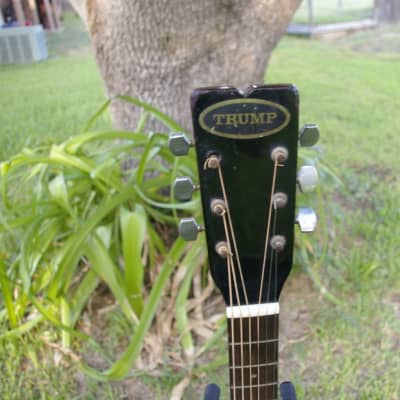 Trump Dreadnought with Vintage Case image 22