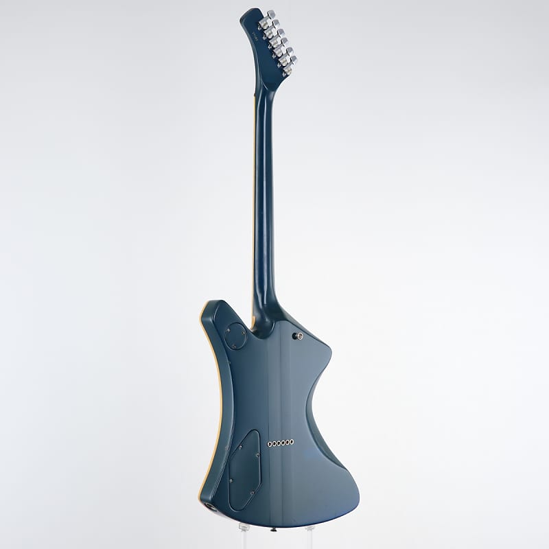 Washburn 値下げ！ Amazon.com: Washburn Deep Forest Burl 6 String Acoustic