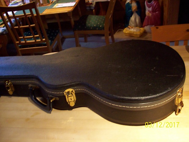 Les paul shop bass case
