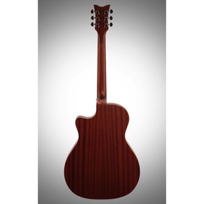 Schecter Deluxe Acoustic Guitar, Natural Satin image 6