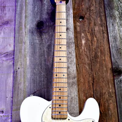 Keith Holland Customs T-THINLINE-ANS #1288 2022 - Olympic White with Hard Case image 6