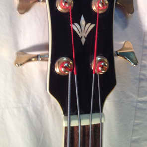 REDUCED! Rock bottom price! Aria Elecord FEB02 Acoustic Bass