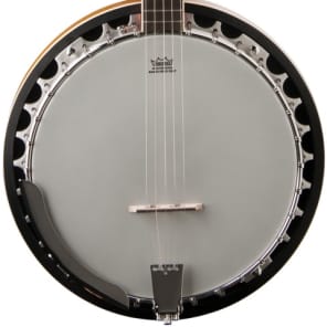 Washburn B9 Americana Series 5-String Banjo | Reverb