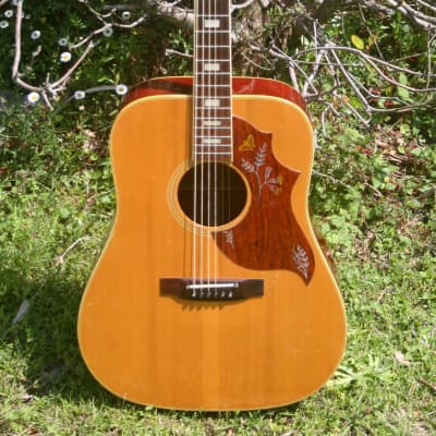 Takamine Elite HM-25 Hummingbird Replica Guitar 1974 | Reverb