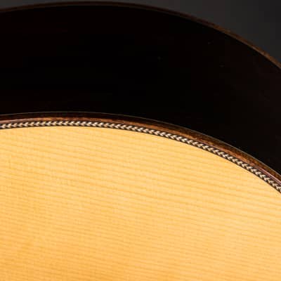Santa Cruz 1934 D Custom - Adirondack Spruce & Brazilian Rosewood image 19