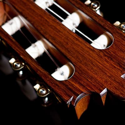 Paula Lazzarini 2022 Classical Guitar Cedar/Indian Rosewood image 6