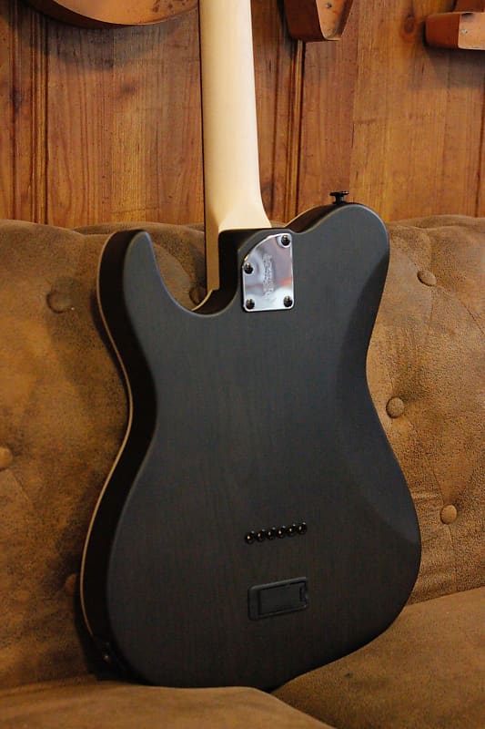 FGN Fujigen Guitars JIL DE664 ASH R TBF EX01 ( D Drop