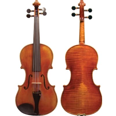 Maple Leaf Strings Apprentice Collection 4/4 Violin MLS110VN image 3