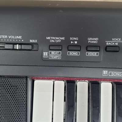 Yamaha Portable Grand NP-30 STAND INCLUDED | Reverb