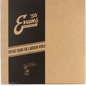 Evans EQ4 Calftone Bass Drumhead - 16 inch image 3