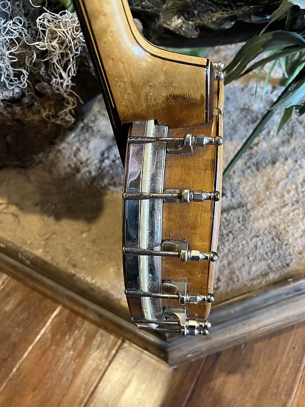 Orpheum No. 1 Mandolin Banjo Project with Original Hard Case | Reverb