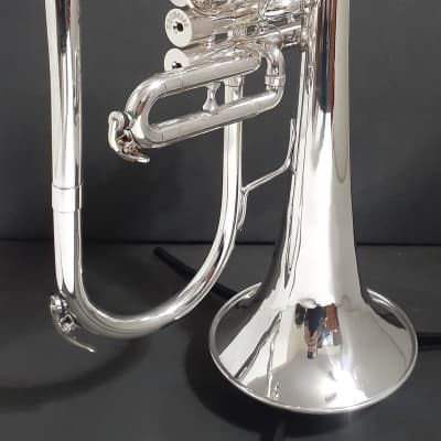 Getzen ETERNA 895S- 3 Valve FLUGELHORN , Mouthpiece & 2 | Reverb