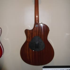 Taylor T5  Flamed Maple image 7