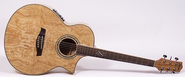 Ibanez EW20ASENT Exotic Wood Acoustic Electic Guitar 606559339174 image 1
