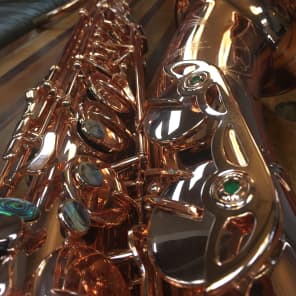 Sax Gourmet Model 6 Tenor Saxophone image 4