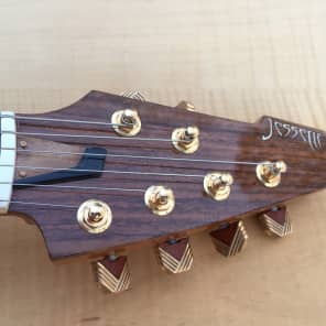 Video Demo Jesselli Solid Body Guitar Jimmy D'Aquisto Apprentice Built guitars for Keith Richards image 7