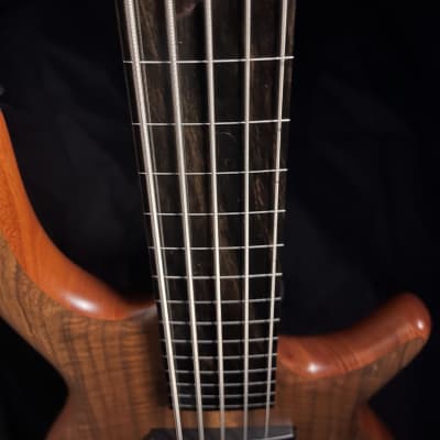 Fretless 5 string bass guitar image 13