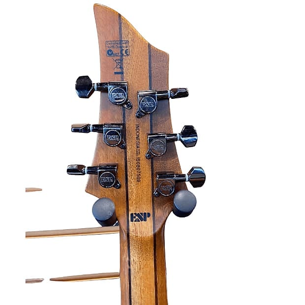 ESP LTD FX-260 Spalted Maple Electric Guitar Satin Natural