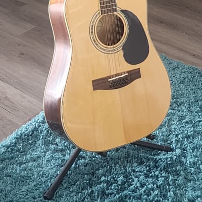 Mitchell MD-100S-12 12-string Dreadnought 2007 image 1