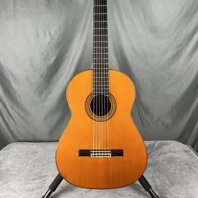 Fernandes GC-50 Handmade Classical Guitar Brazilian Rosewood 1974 | Reverb