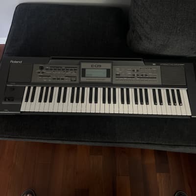 Roland E-09 61-Key Interactive Arranger 2005 - Present - Black