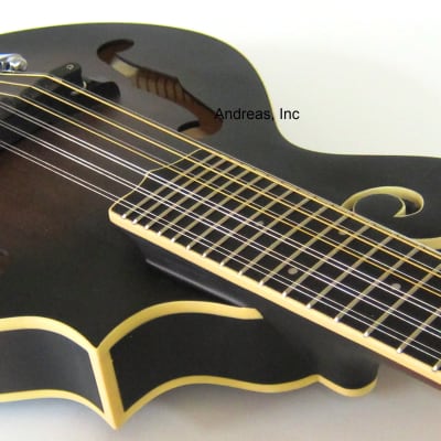 F-Style 12-String Mando-Guitar w/ Hardshell Case image 5