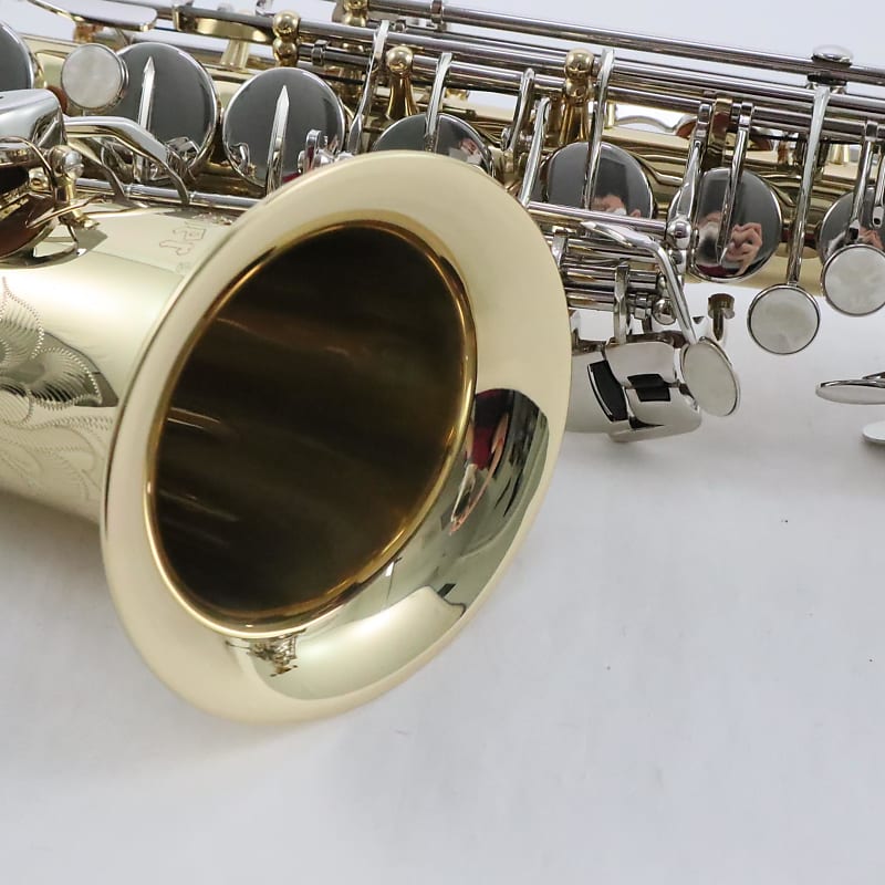 Selmer SAS301 Student Alto Saxophone