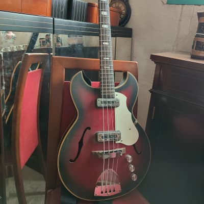 Vintage Egmond Colorado Bass image 1