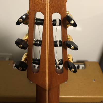 USED】中古Ovation USA大量入荷【9月9日更新】｜島村楽器 イオン