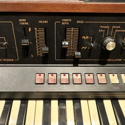 Farfisa Soundmaker 61-Key String Synthesizer 1979 - 1981 - Natural / Black, recently serviced, fully functional, U.S. 120V! image 2