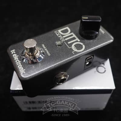 Amazon.com: TC Electronic DITTO+ LOOPER Next Generation 60