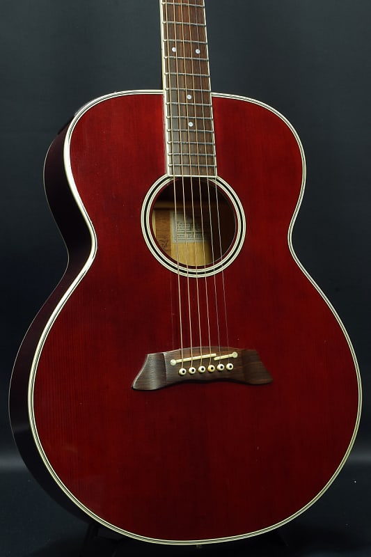 Takamine Pt100 Sp (06/01)