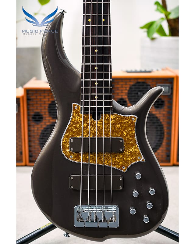 F-Bass BN5 New Bronze w/Macassar Ebony Fingerboard