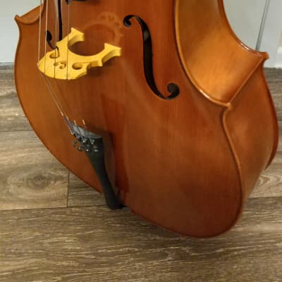 Eastman VC100 4/4 Cello 2008-Amber image 4