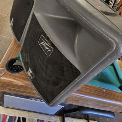 Peavey PR12 12 Inch Passive Speakers | Reverb