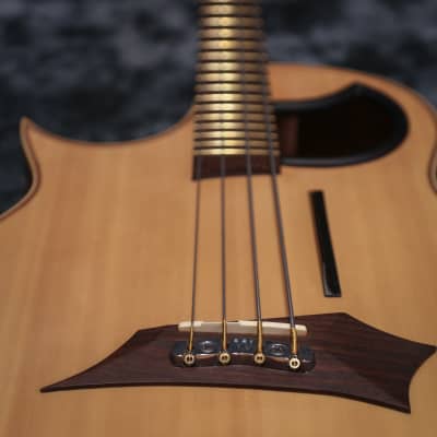 Warwick Alien Acoustic Bass Left Handed image 9