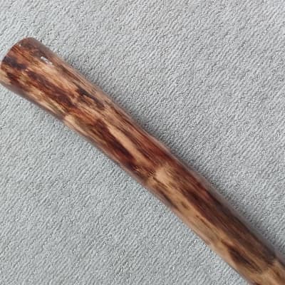 Custom Handmade Didgeridoo - Agave (Key B) 2022 Earth Tones image 5