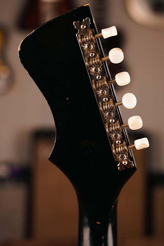 ギター TRUETONE 1966 TrueTone Vanguard | Reverb