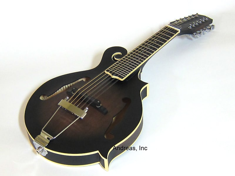 F-Style 12-String Mando-Guitar w/ Hardshell Case image 1