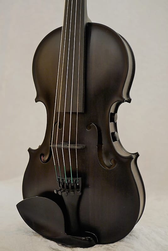 楽天市場】Gliga Ayasa Model w/ FISHMAN V-300